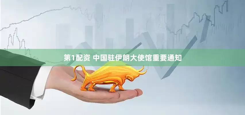 第1配资 中国驻伊朗大使馆重要通知